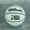 Wilson NBA Dribbler blanca. Micropelota