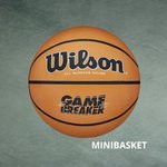 Balón minibasket goma Gamebreaker. talla 5. Wilson