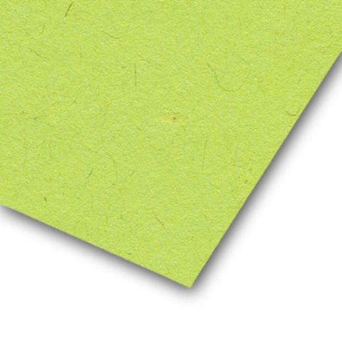 Papier recyclé vert Couleurs de Provence A4 175g 30 feuilles