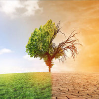 Lire tout le message: Changement climatique ... Préservez les arbres en passant au papier recyclé !