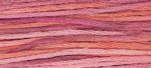 Weeks Dye Works - Berry Splash (4153)