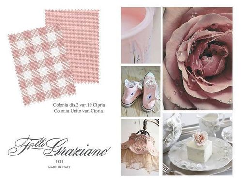 Graziano - Toile Colonia Dis.2 V19 coloris Cipria (Rose Poudré)-0009