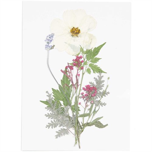 Rico Design - Fleurs pressées, set mixte blanc violet, 7 pcs