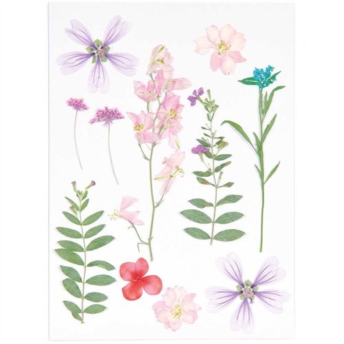 Rico Design - Fleurs pressées, set mixte rose violet, 11 pcs