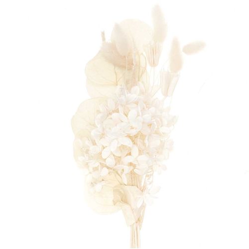 Rico Design - Set de fleurs sechées, nature blanc