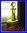 CARAFE A LIQUEUR EN CRISTAL DE SAINT LOUIS, GRAVEE ET DOREE, LOUIS XV 1880