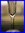 SAINT LOUIS CERDAGNE CRYSTAL FLUTED CHAMPAGNE GLASS   stock: 0