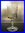 6 Wein Glaser aus Kristall Baccarat  1880