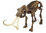 Kit d'excavation Dinosaure Mammouth à assembler