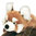 Peluche Panda roux wild republic 30 cm