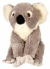 Peluche Koala 30 cm Wild Republic