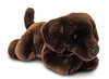 Peluche Chien Labrador Chocolat 30 cm