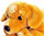 Peluche Labrador chien geant  1 metre 20