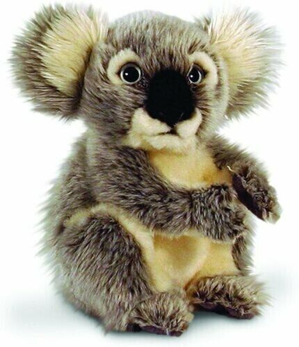 Peluche koala bebe realiste keel toys  20 cm