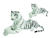 Peluche Tigre Blanc 103 cm
