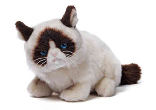 Peluche Grumpy Cat couché 15 cm de haut