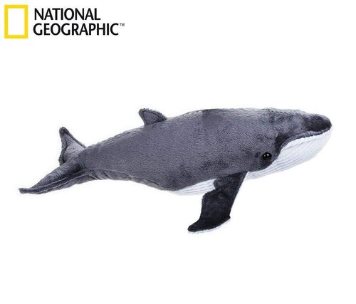 Peluche Baleine 40 cm National Geographic
