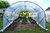 Serre tunnel de jardin MINIMAX 3m de large