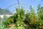 Serre de jardin CYRANO largeur 3m sans façades
