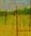 Huile sur toile de lin fin " 30 vues du Mont Donon... Permaculture " par Yves Blin