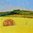 Huile sur toile de lin fin " 30 vues du Mont Donon...Promenade dans la vallée Bruche" par Yves Blin