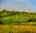 Huile sur toile de lin fin " 30 vues du Mont Donon...Promenade dans la vallée Bruche" par Yves Blin