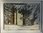 Huile sur isorel " Forêt de sapins en hiver " par Jean-Pierre Dinterich