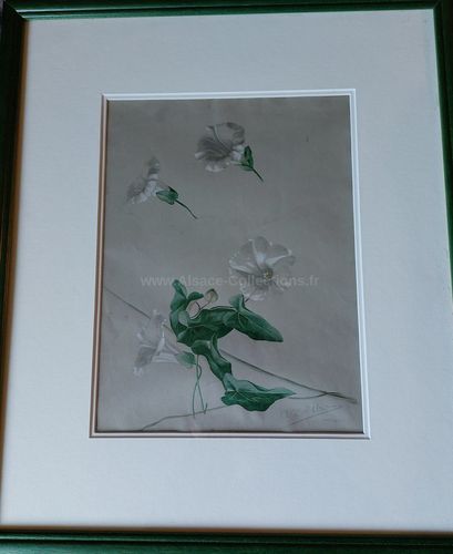 Aquarelle " Etude de Fleurs " par Auguste Zwiller