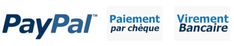 Logo_paiements