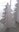 Sapin des Neiges 118 cm en carton alvéolaire blanc satiné