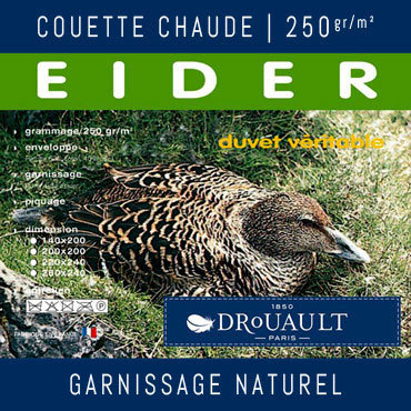 Eider 250g par Drouault - Couette chaude canard blanc