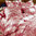 Drap housse 90x190cm - Coordonné Pastorale rouge par Aude de Balmy