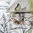 Taie d'oreiller 64x64cm - Papillons Birch par Designers Guild