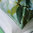 Housse de couette 240x220cm - Maple Tree céladon par Designers Guild