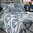 Taie d'oreiller 65x65cm - Arabesque Canard - grand motif - par Jour de Paris