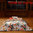 Taie d'oreiller 65x65cm - K Ikebana  par Kenzo
