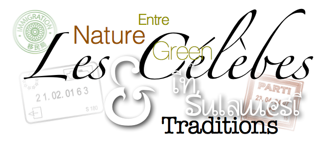 Celebes_Vert_Traditions