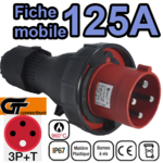 Fiche mobile mâle GT IP67 3P+T 125A 380-415V Connexion à vis