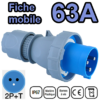 Fiche mobile mâle IP67 2P+T 63A 200-250V Connexion à vis