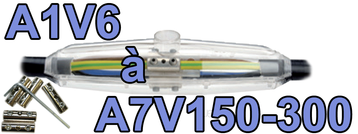 Boîte de jonction Résine avec connecteurs à visser A1V6