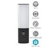 Wifi outdoor IP camera with alarm and LED lighting