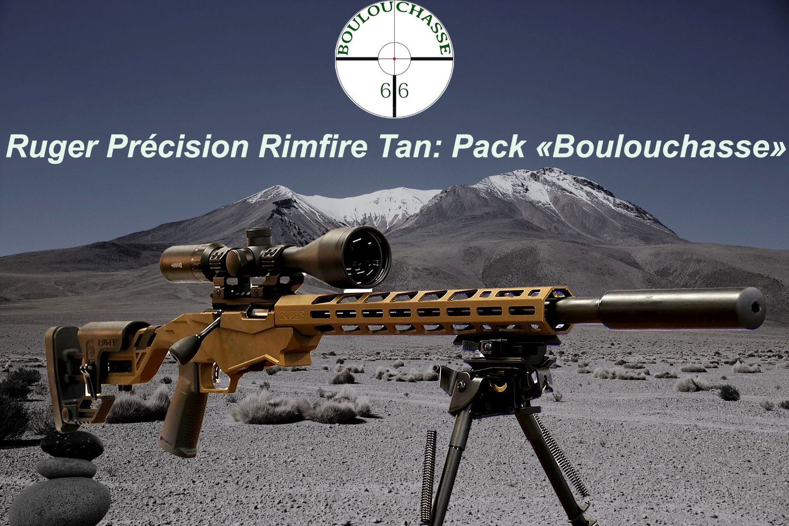 Ruger Précision Rimfire Tan- Pack Boulouchasse