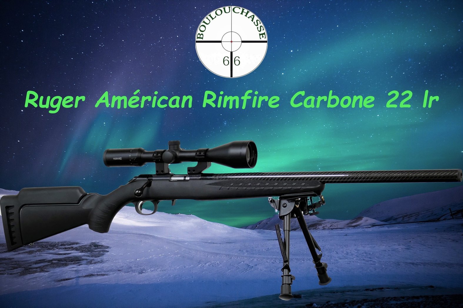 Ruger American Rimfire Custom Carbone