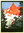 Affiche La Chaine Du Mont Blanc 1924 PLM Roger Broders