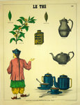 Poster   The Tea  N° 543  Son's School Museum of Emole Deyrolle