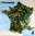 Affiche Carte de France Ses Monuments Dessin Hayon 1967 Carte Scolaire Plastifiee