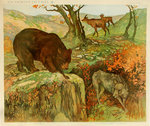 Affiche  Ours  Brun  Loup  Chamois   Les Animaux Sauvag     Henry Baudot  circa   1900