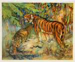 Affiche  Tigres Royaux D Asie   Les Animaux Sauvages     Henry Baudot  circa   1900