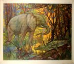 Poster African  Elephant and Aligator  The  Wild  Annimals  Henry  Baudot  Circa 1900