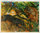 Poster Boa Lama Jaguar The Wild Annimals Henry Baudot Circa 1900